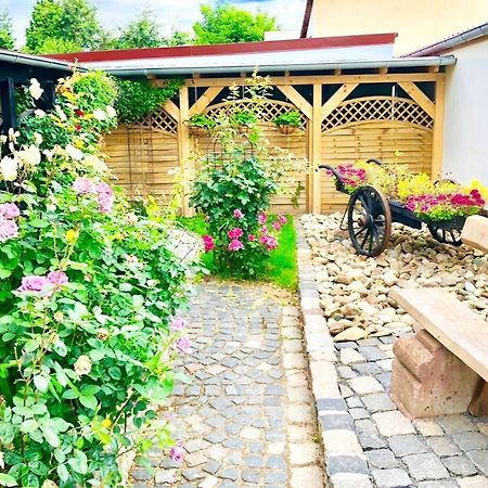 Ferienwohnungen Grimma 4 Buitenkant foto