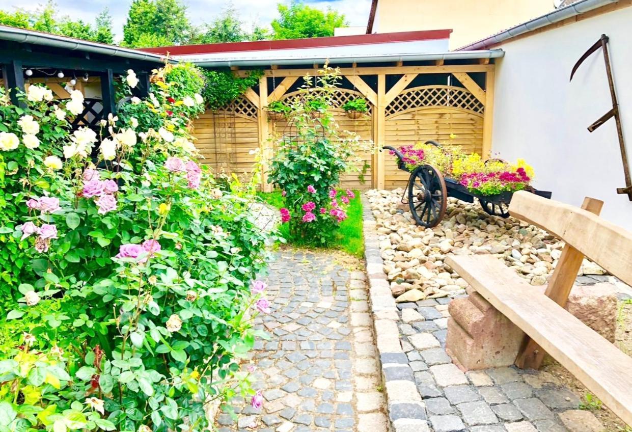 Ferienwohnungen Grimma 4 Buitenkant foto